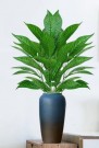 Kunstig plante «dieffenbachia». 78cm thumbnail