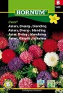 Asters, dverg, blanding, 'Dwarf' thumbnail