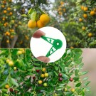 Justerbar plantebøyere 5pk thumbnail