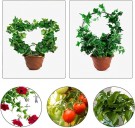 Hjerteformed plantestativ/espalier thumbnail
