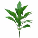 Kunstig plante «dieffenbachia». 78cm thumbnail