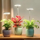 Prydhagen led plantelys 2stk thumbnail