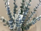 Kunstig eukalyptus stilk 37cm thumbnail