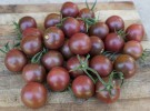 Cherrytomat 'Black Cherry' thumbnail