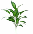 Kunstig plante «Dieffenbachia». 78cm thumbnail