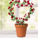Hjerteformed plantestativ/espalier thumbnail